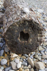 Similar image 5541304