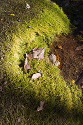 Similar image 5541356