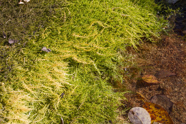 Similar image 5541357