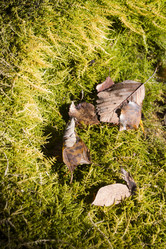 Similar image 5541358