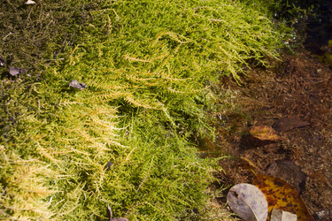 Similar image 5541359