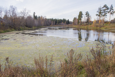 Similar image 5541375