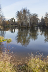 Similar image 5541381