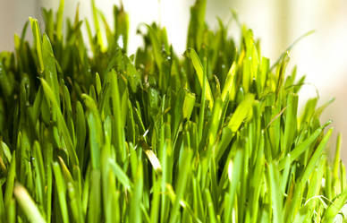 Similar image 5541493