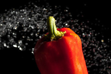 Similar image 5541494