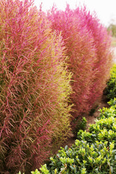 Similar image 5541623