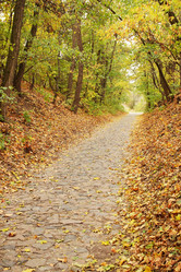 Similar image 5541635