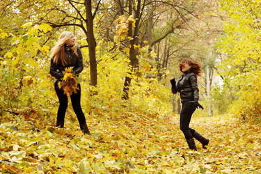 Similar image 5541659