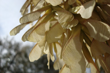 Similar image 5541920