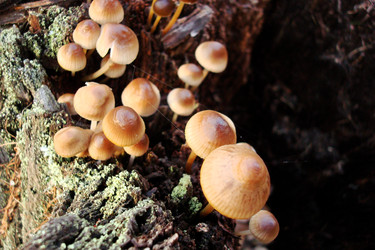 Similar image 5541921