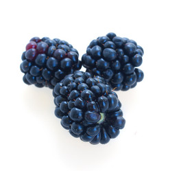 Similar image 5541975