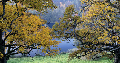 Similar image 5544757