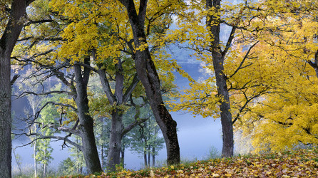 Similar image 5544758