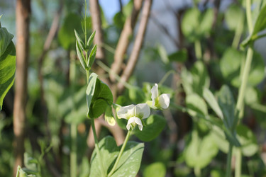 Similar image 5544801