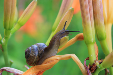 Similar image 5544802