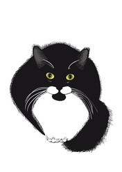 Similar image 5544806