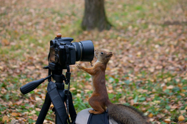 Similar image 5544808