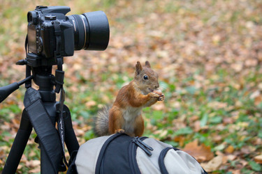 Similar image 5544809