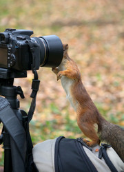 Similar image 5544810