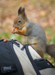 Similar image 5544811