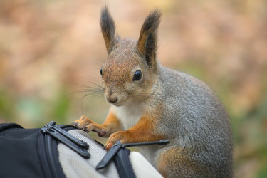 Similar image 5544812