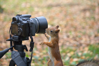 Similar image 5544813