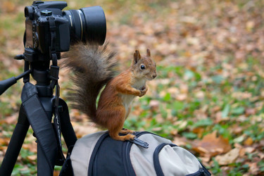 Similar image 5544814