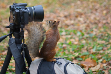 Similar image 5544815