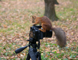 Similar image 5544816