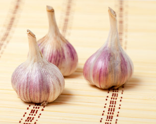 Similar image 5544846