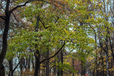 Similar image 5544974