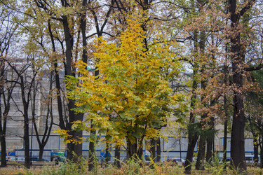 Similar image 5544975