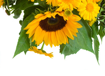 Similar image 5545008