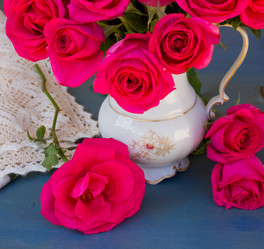 Similar image 5545009