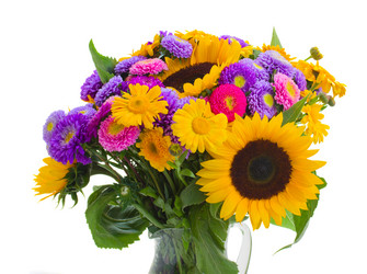 Similar image 5545012