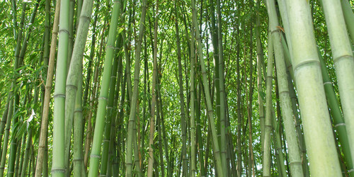 Similar image 5545098