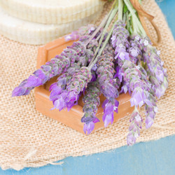 Similar image 5545282