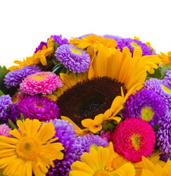 Similar image 5545298