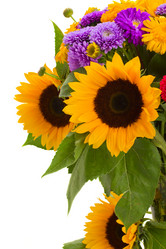 Similar image 5545320