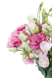 Similar image 5545325