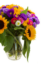 Similar image 5545329