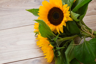 Similar image 5545330