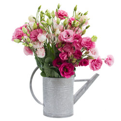 Similar image 5545343