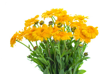 Similar image 5545345