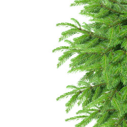 Similar image 5545348