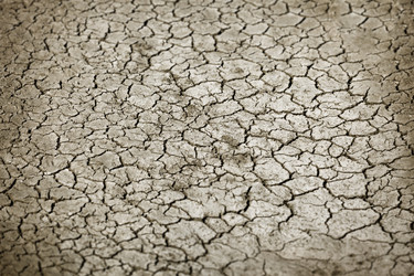 Similar image 5545419