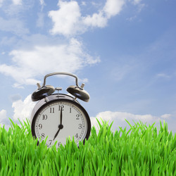 Similar image 5545421