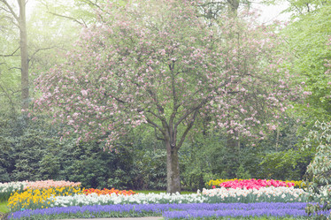 Similar image 5545430