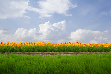 Similar image 5545435