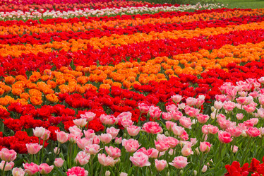 Similar image 5545436